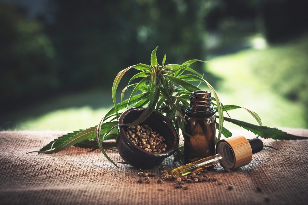 Maconha medicinal: pacientes， artistas e profissionais da saúde vão gravar vídeos para evitar que tratamentos sejam prejudicados por uma resolução restritiva — Foto: CBD-Infos-com para Pixabay