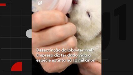 Desextinção do lobo-terrível? Empresa diz ter dado vida a espécie extinta há 10 mil anos