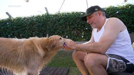 Pousada pet-friendly transforma férias de tutores e animais em experiência única